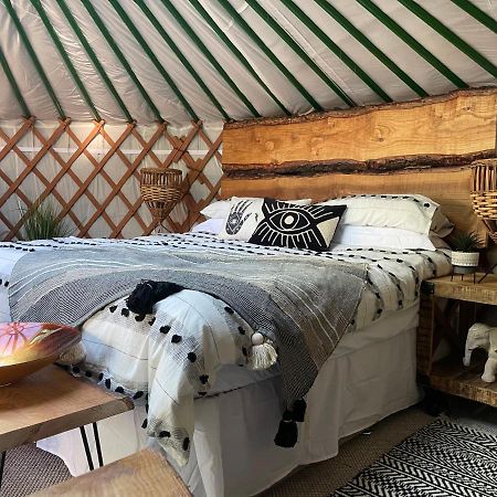 O Dan Y Coed Luxury Yurt With Hot Tub Hotel Chwilog Exterior photo